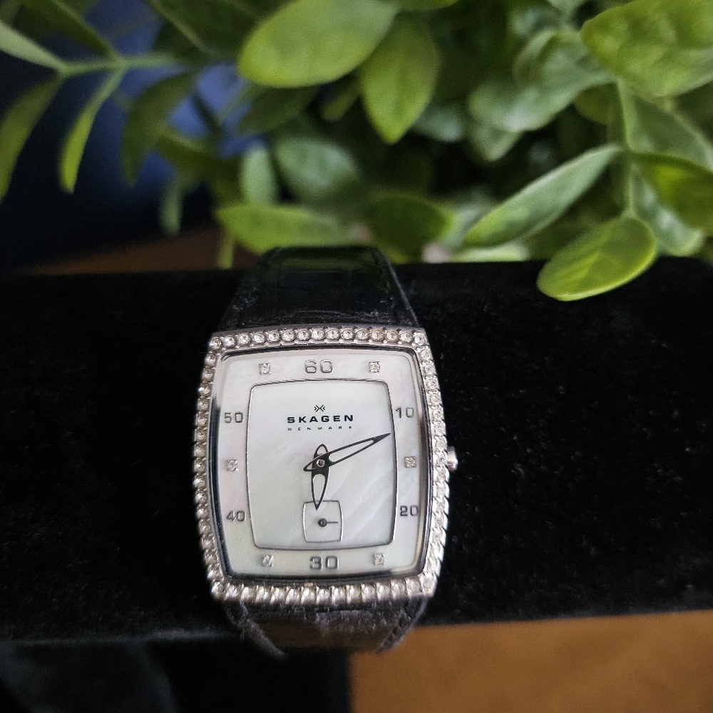 Skagen Mother of Pearl Watch